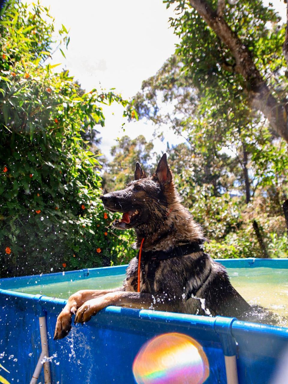 Felipe Ossa with Vicente Ferré at training event